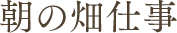 朝の畑仕事