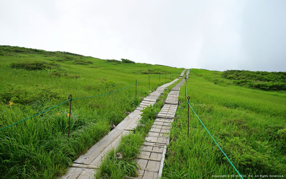 月山八合目