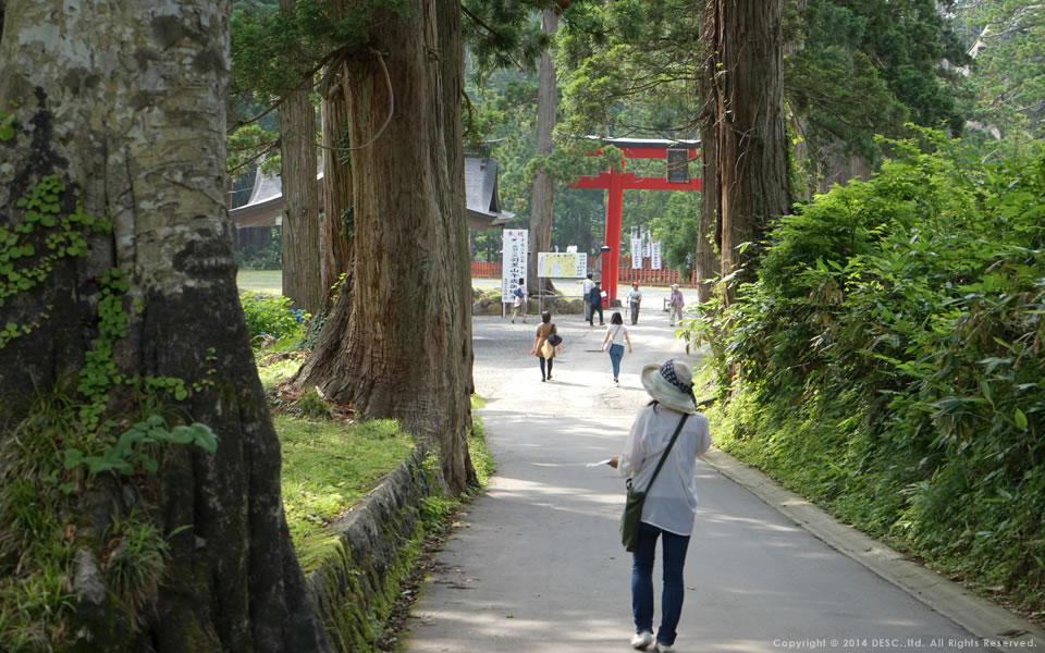 羽黒山参道