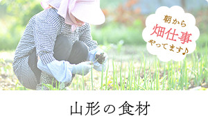 山形の食材